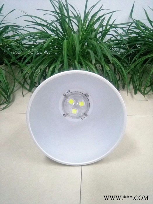 蓝川ZXD-GKD16-100 LED工矿灯图6