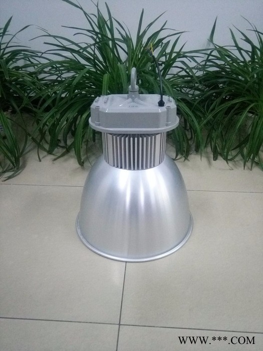蓝川ZXD-GKD16-100 LED工矿灯