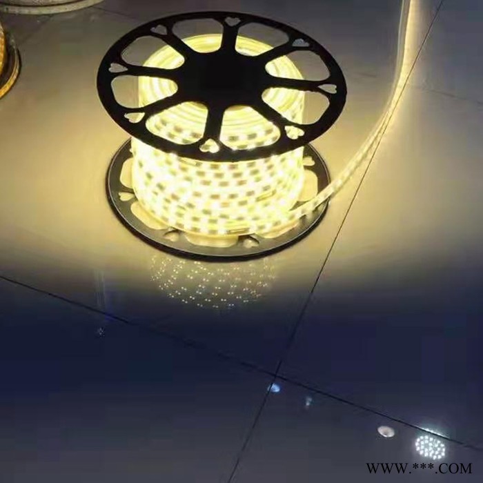 户外防水灯带批发 七彩户外路灯灯带 LED灯带批发 软灯带批发 洗墙灯生产厂家图6