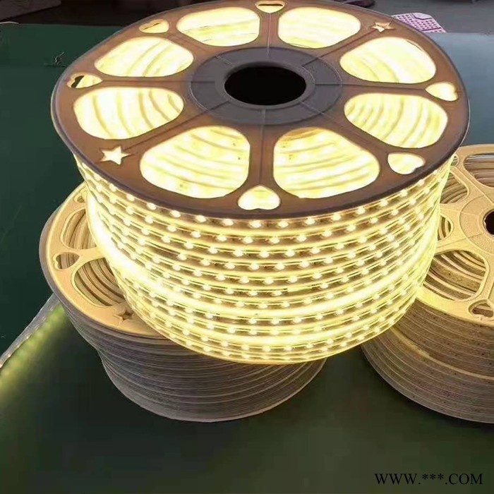 户外防水灯带批发 七彩户外路灯灯带 LED灯带批发 软灯带批发 洗墙灯生产厂家图4