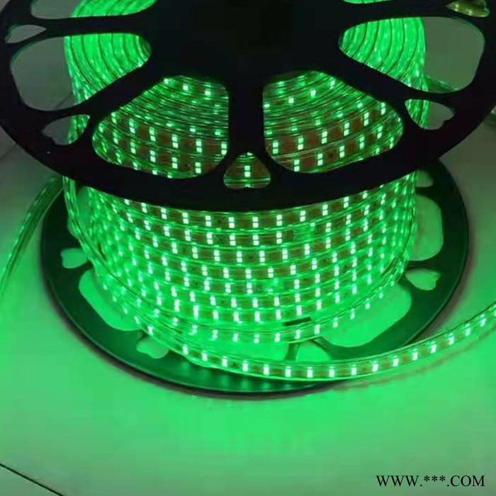 户外防水灯带批发 七彩户外路灯灯带 LED灯带批发 软灯带批发 洗墙灯生产厂家图7
