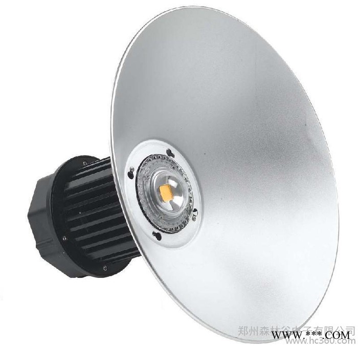 供应森林谷SLG-G-100W LED工矿灯LED厂房灯图3