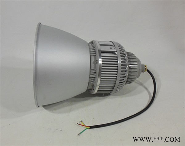 GCD810G炼油厂加气站用吊装LED防爆工矿灯防爆顶棚灯100W图2
