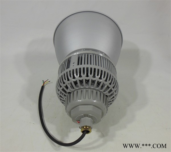 GCD810G炼油厂加气站用吊装LED防爆工矿灯防爆顶棚灯100W图3