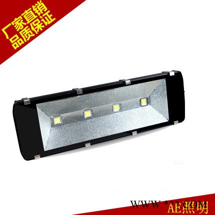 LED投光灯户外防水灯300W400W投射灯泛光洗墙灯 4芯320W正白图3