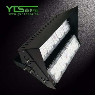 太阳能灯一拖二家用室内庭院投光灯户外防水LED照明路灯LED洗墙灯
