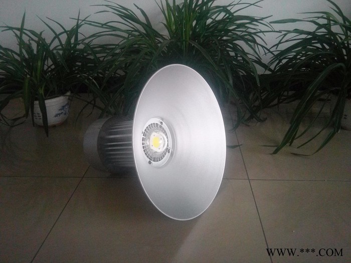 蓝川ZXD-GKD16 LED工矿灯图2