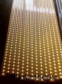 DMX512 LED洗墙灯图3
