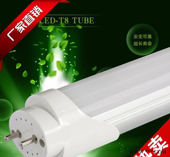 销售T8椭圆LED灯管 全新高亮LED节能日光灯图2