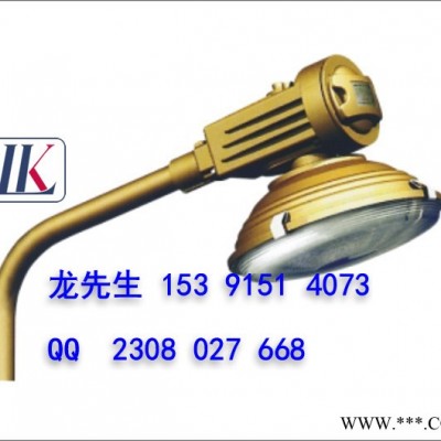 供应 雷科SBD1109-YQL无极灯工矿灯具