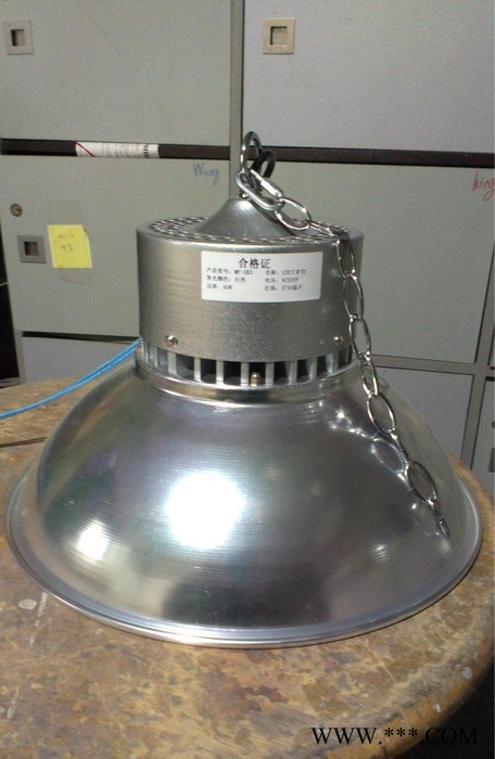 G2013A特价小功率LED工矿灯 光使者led工厂灯30W