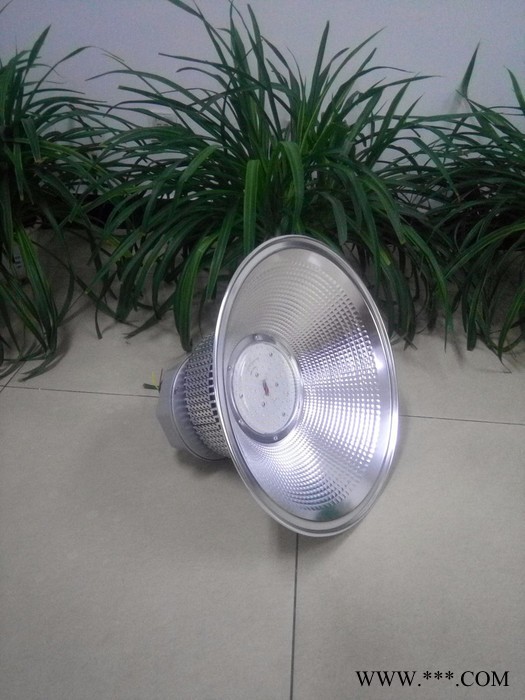 蓝川ZXD-GKD20-100W LED LED鳍片工矿灯图4