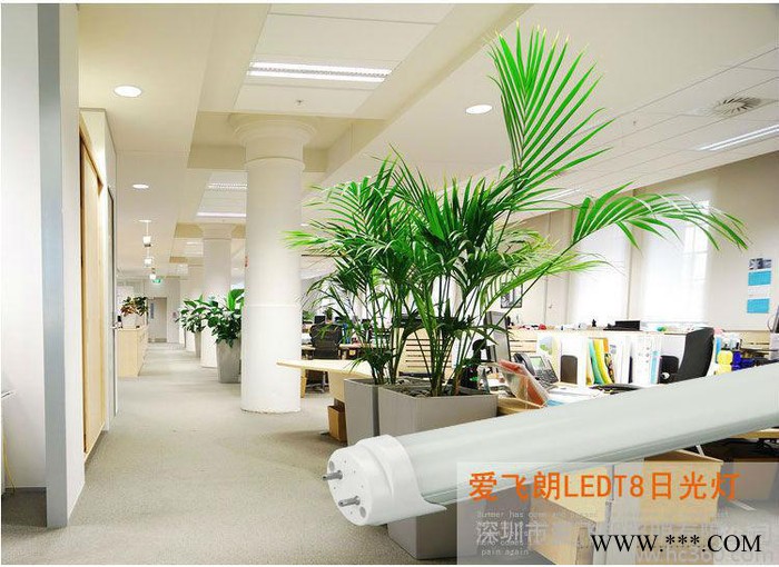 供应爱飞朗LED日光灯 T8管 T8分体图1