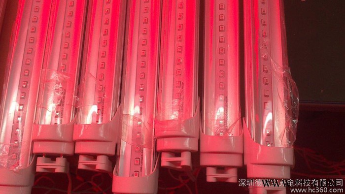 供应德瑞宝T810-001LED日光灯灯管节能灯图3