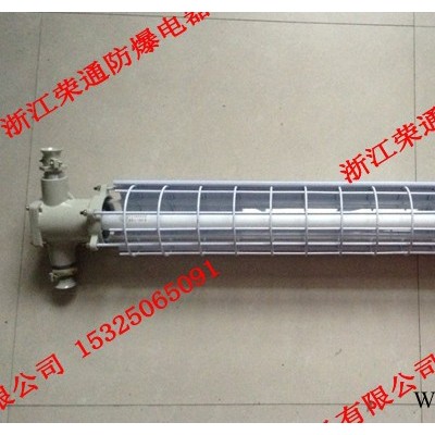 供应浙江荣通DGS20/127Y防爆日光灯