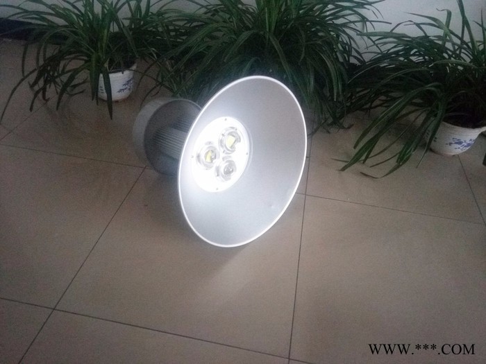 蓝川ZXD-GKD-150W LED工矿灯图2