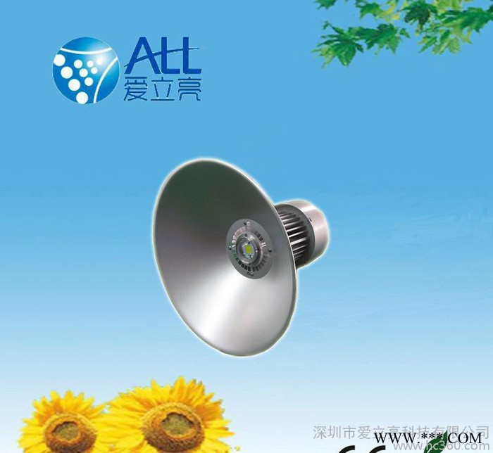 100W 工矿灯,LED高棚灯,100WLED工厂灯图2