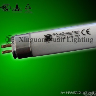 大量 T5节能型日光灯管  价格优惠，质量保证