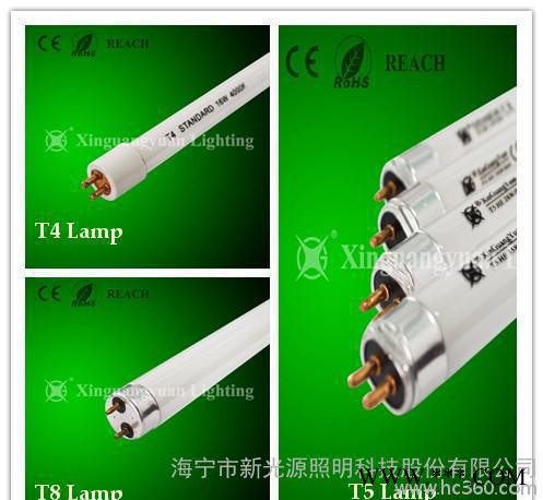 大量 T5节能型日光灯管  价格优惠，质量保证图2