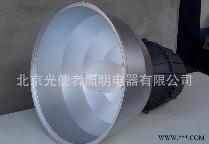 G2011工厂灯工矿灯250W400W空灯具 250Wled图2