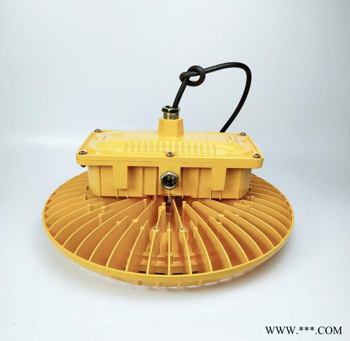 湖南株洲厂房高性能200W LED隔爆防爆工矿灯DOD815图4