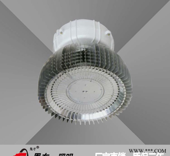 恩东照明 LED工矿灯 户外灯车间灯库房灯高棚灯 50W 8
