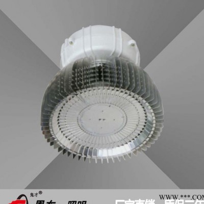 恩东照明 LED工矿灯 户外灯车间灯库房灯高棚灯 50W 8