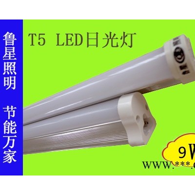 供应鲁星LX-T5TA-2AN9120cm18wT8LED日光灯