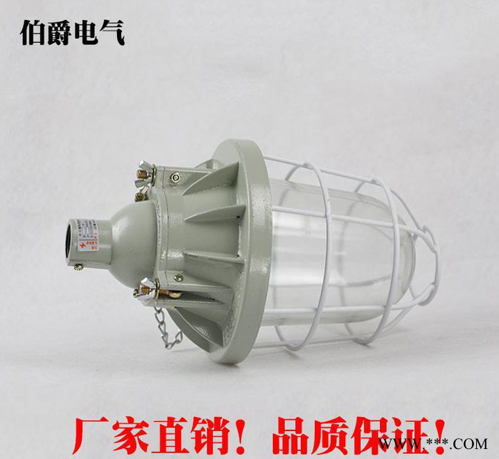 大量批发 隔爆型防爆灯 BA53-200W车间加油站防爆照明灯具工矿灯图2