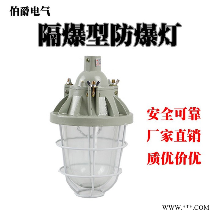 大量批发 隔爆型防爆灯 BA53-200W车间加油站防爆照明灯具工矿灯图3