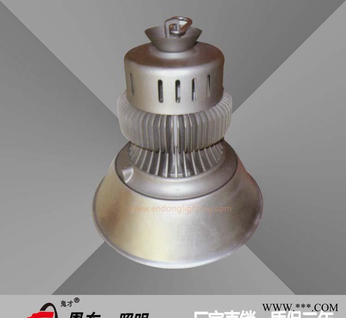 恩东照明 LED工矿灯 户外灯厂房灯车间照明高棚灯 100W