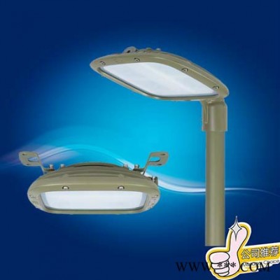 华宏HRD93 LED防爆泛光灯 80w LED防爆工矿灯 LED防爆泛光灯厂家