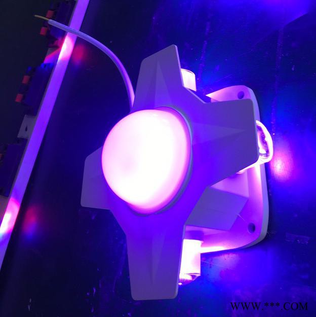 LED十字星光灯  邦嵘照明   LED四角灯  洗墙灯厂家 中山十字星光灯图2