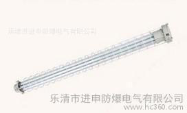 防爆日光灯 BPY96 防爆荧光灯 单管荧光灯 双管荧光灯