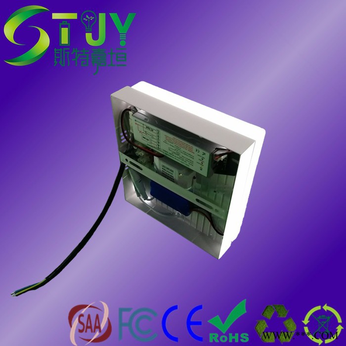 供应STJY-20 12VLED18W90分日光灯应急电源图2