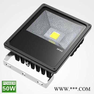 衡水LED投光灯数码光 洗墙灯 舞台灯 ** 三级资质承揽工程 楼体亮化 道路照明 园林亮化图3
