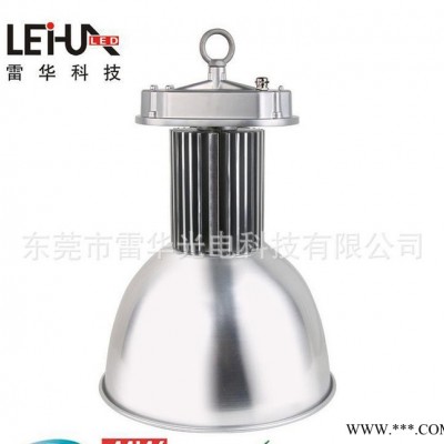【雷华】高品质LED塔吊灯_100W工矿灯_体育馆照明灯_工
