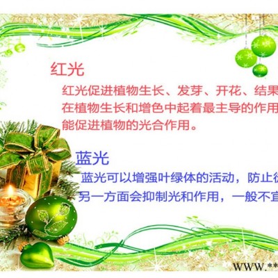 龙之心T5led植物生长灯 LED日光灯支架灯 多肉植物培养货架灯具 自带小开关 串联led灯带