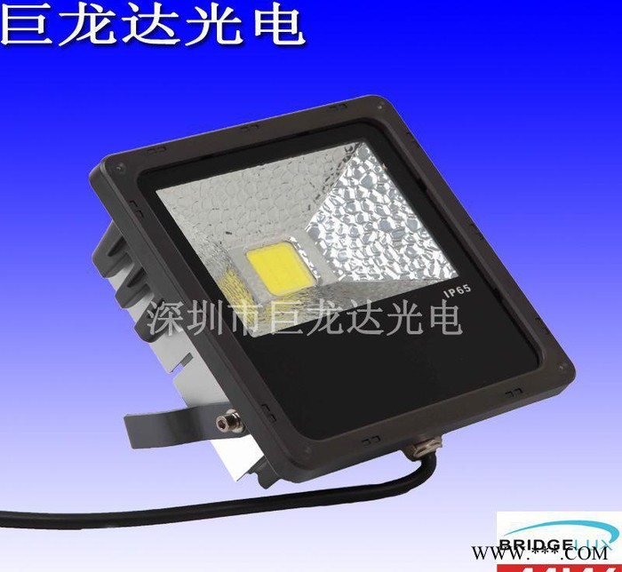 直销20WLED户外广告投光灯 低压led投光灯   工矿灯图1