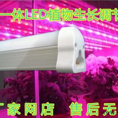t5一体植物生长调节灯园艺花卉补光灯大棚蔬菜水苗培红蓝led彩色节能定做 LED日光灯 植物生长灯