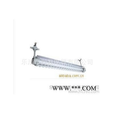 防爆灯 防爆荧光灯1x40W单管 2X40W双管 防爆日光灯