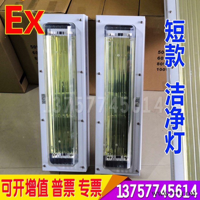 防爆净化灯 T8单管双管40W日光灯全套车间仓库PC阻燃防爆洁净灯架 LED防爆洁净灯图2