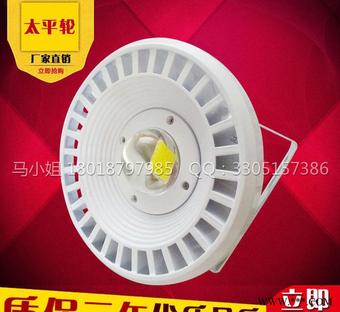 LED防爆灯 加油站灯工矿灯30W40W50W60W70W8