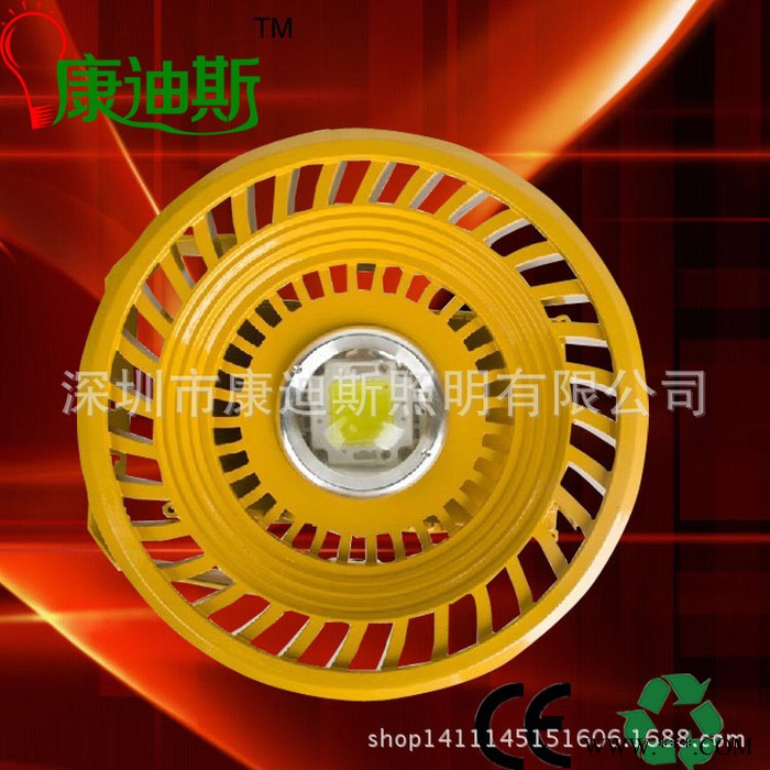 **LED 防爆灯工矿灯投光灯 厂房车间车站地下室质保2年便宜促销图2