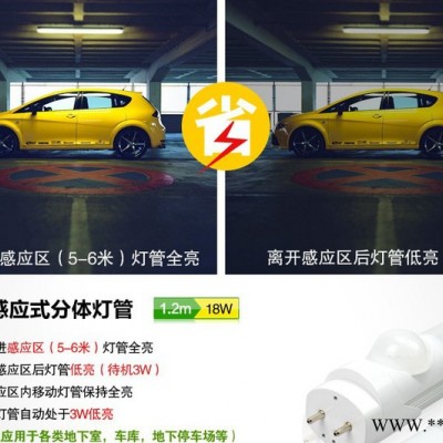 沧州厂价直销福光雷达日光灯FGWT818Wled路灯
