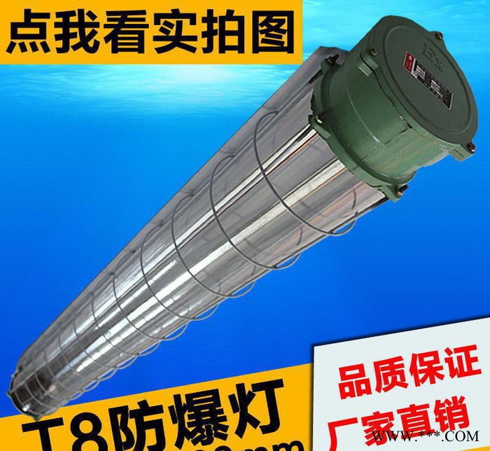 防爆灯外壳 日光灯管防爆灯外壳 荧光灯管防爆灯外壳图3