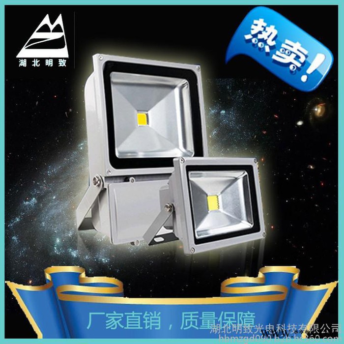 100W 户外工程照明用灯 广告牌LED投光灯 户外防水防震投射灯 **图2