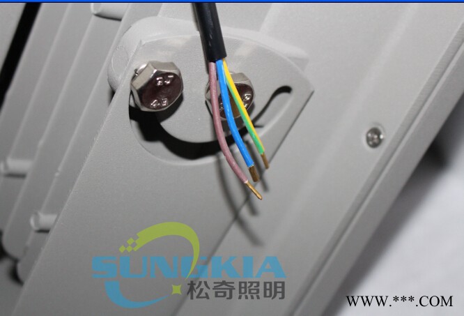 SKSK-TG1-05-180W投射灯、广告灯图4