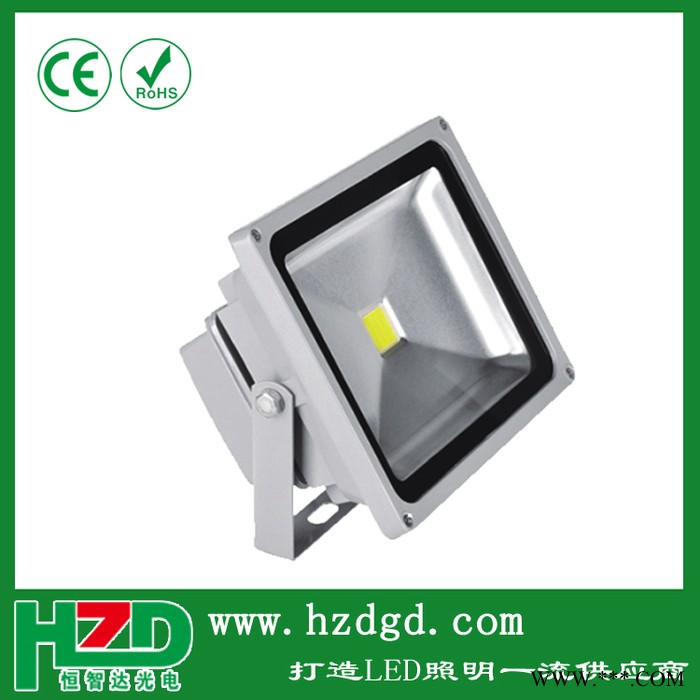 杭州LED10W-50w投射灯探照灯草坪灯埋地灯室外广告灯