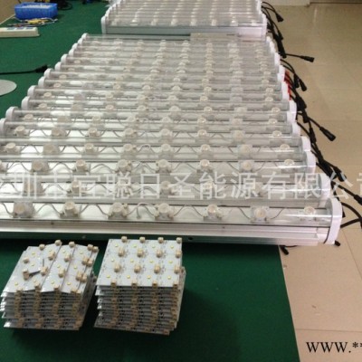 广东低价促销 单立柱射灯  单立柱光源  12W太阳能广告灯